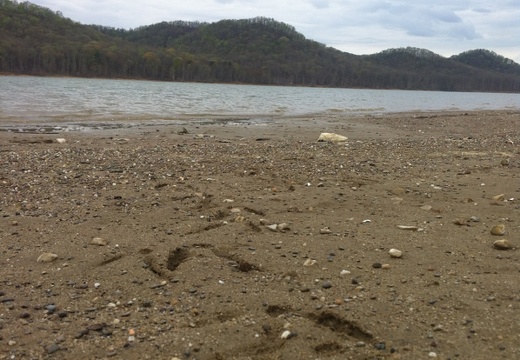 Lockegee Rock and Cave Run Lake